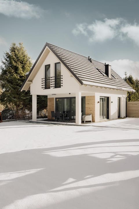 BURSZTYNOWA-PRZYSTAŃ Villa in Pomeranian Voivodeship