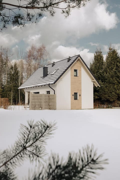 BURSZTYNOWA-PRZYSTAŃ Villa in Pomeranian Voivodeship