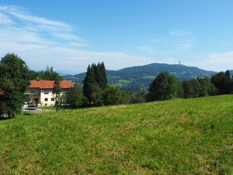 Natural landscape, Summer