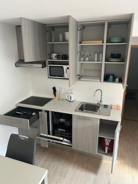 Kitchen or kitchenette, dishwasher