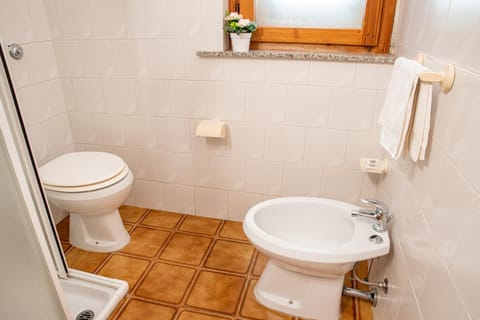 Shower, Toilet, Bathroom, bidet