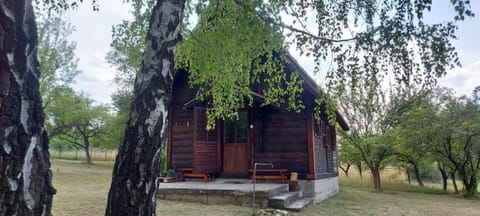 Property building, Day, Garden, Garden view