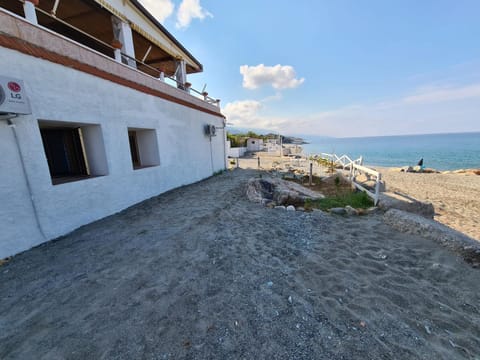 Property building, Garden, Beach