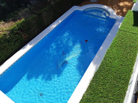 Day, Pool view, Swimming pool