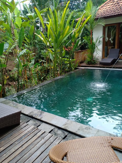 Garden view, Pool view, Swimming pool