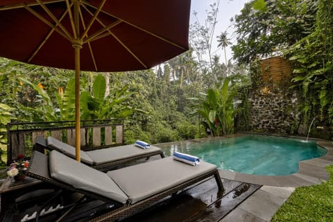 Patio, Patio, View (from property/room), View (from property/room), Pool view