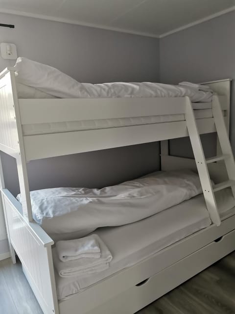 Photo of the whole room, Bedroom, bunk bed