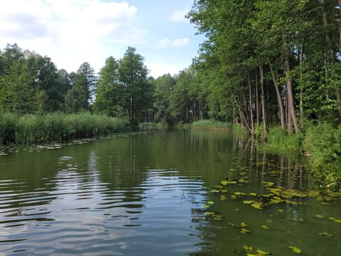 River view