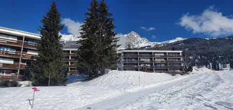 Property building, Winter, Mountain view