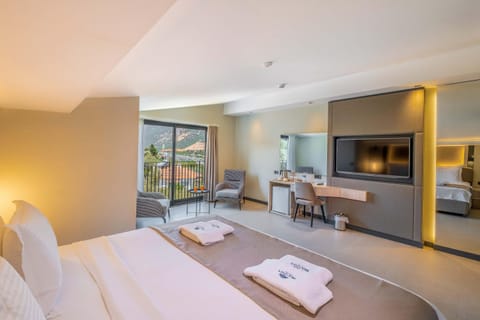 Bed, TV and multimedia, Photo of the whole room