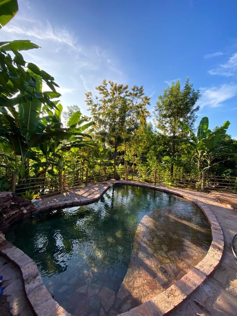 Pool view, Swimming pool