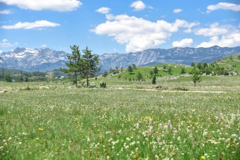 Natural landscape, Mountain view