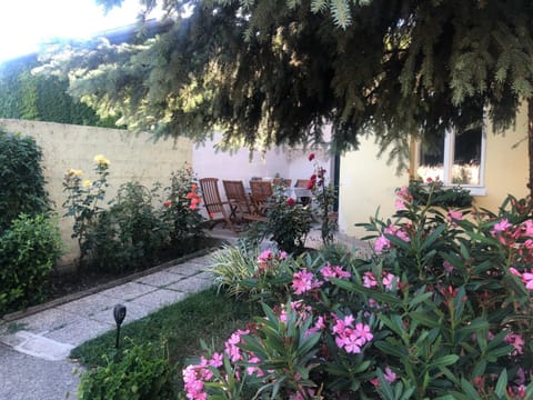 Patio, Garden