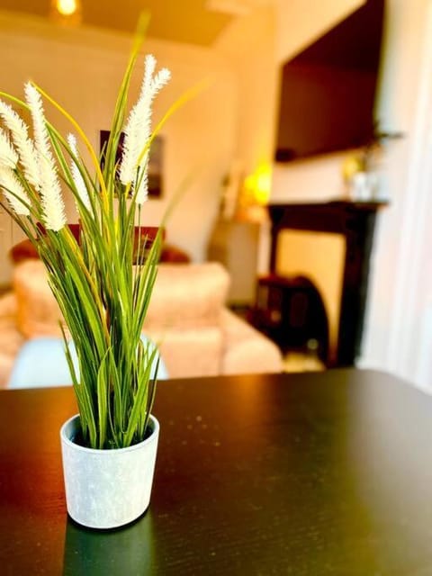 TV and multimedia, Decorative detail