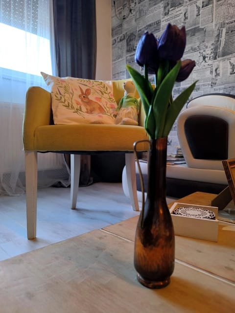 Book home Apartment in Vojvodina