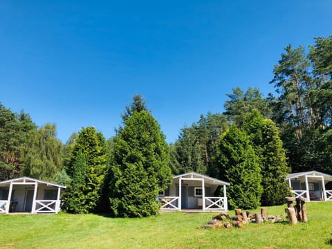 Natural landscape, Garden, Garden view