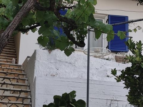 Facade/entrance, acessibility