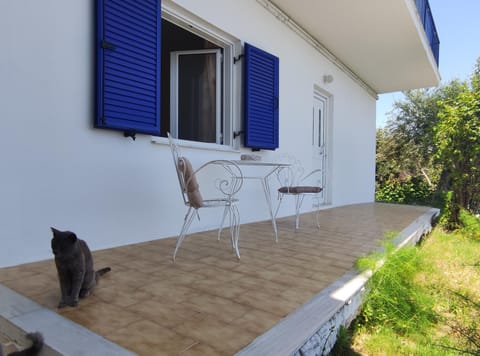 Property building, Patio, Facade/entrance, Balcony/Terrace