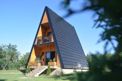 Vila Grujic Villa in Vojvodina