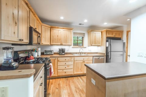 Elkhorn Townhome 1911 House in Ouray