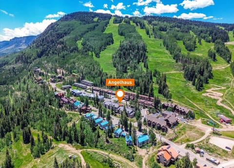 1 BR Angelhaus 109 House in Purgatory