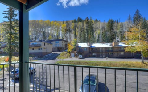 Studio Purgatory Townhome 108 House in Purgatory