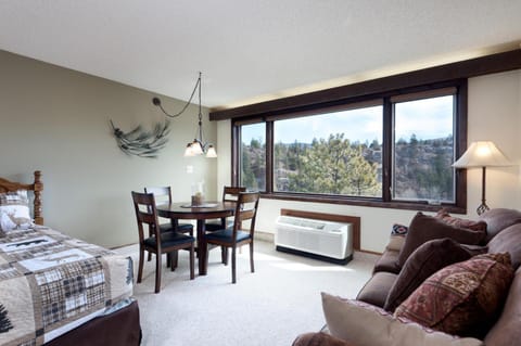 Tamarron Lodge Studio 306 House in La Plata County