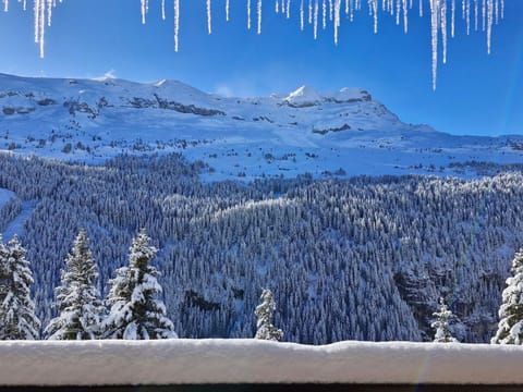 Appartement spacieux avec balcon, animaux admis, centre station et parking en option - FR-1-425-125 Apartment in Arâches-la-Frasse