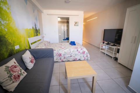 Bed, TV and multimedia