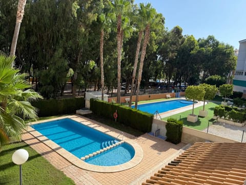 Day, Natural landscape, Garden, Garden view, Pool view, Swimming pool, sunbed