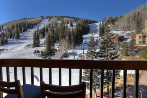 Village Center 501 House in Purgatory