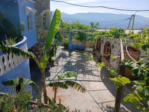 Patio, Garden