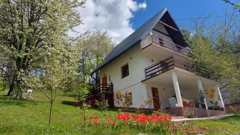 Spring, Garden view