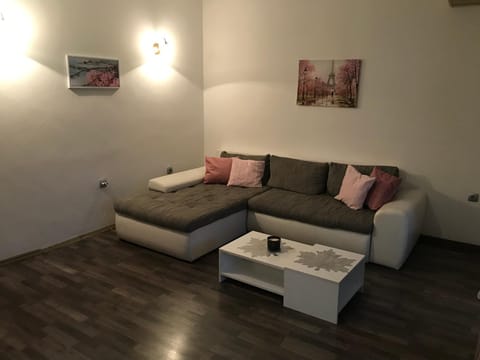 Pocanic's apartment Apartment in Dobrota