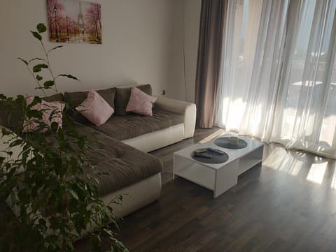 Pocanic's apartment Apartment in Dobrota