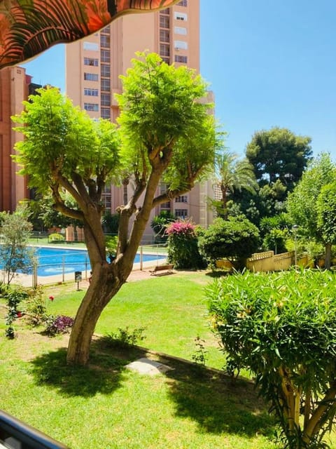 Garden, Pool view, Swimming pool