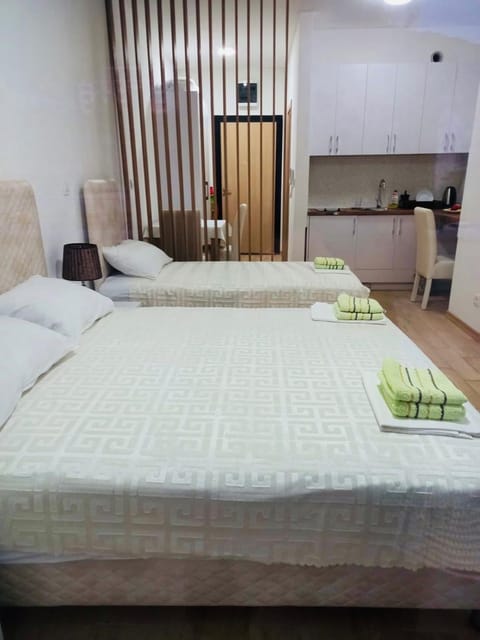 Apartment Queen Milena Apartment in Budva