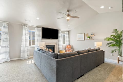 TV and multimedia, Family