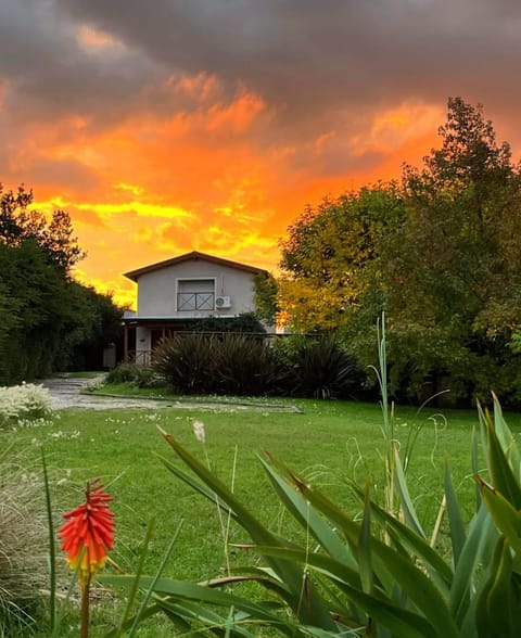 Property building, Garden view