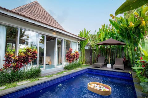 Property building, Patio, Day, Natural landscape, Garden, Garden view, Pool view, Swimming pool, sunbed