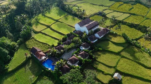 Property building, Day, Natural landscape, Bird's eye view, Garden, Garden view, Pool view, Swimming pool