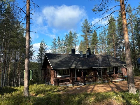 Property building, Spring, Day