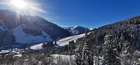 Boutique - Apartments Tauernblick Apartment in Piesendorf