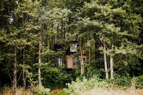 Property building, View (from property/room), Garden view