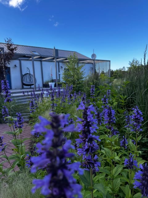 Day, Natural landscape, Garden