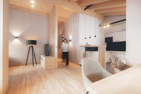 Living room, kitchen