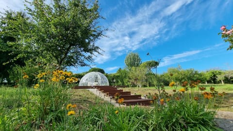 Natural landscape, Garden