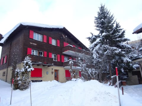 Property building, Winter