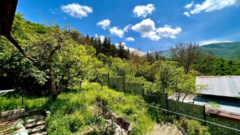 Neighbourhood, Natural landscape, Garden view
