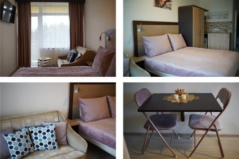 Alanga apartament Apartment in Palanga